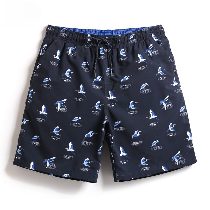 Short Masculino Fioranzzo Frz07